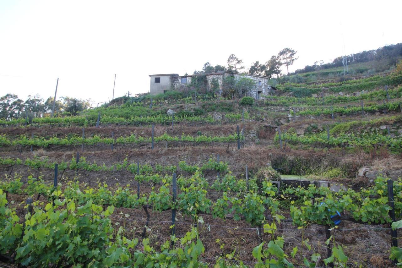 Villa Casas Do Campo Da Moita Baião Esterno foto